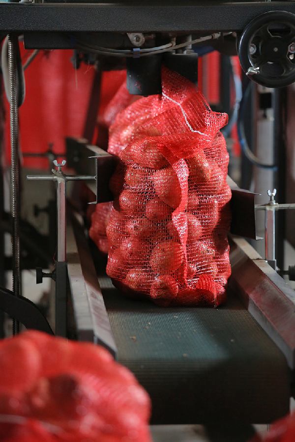 LC PACKAGING COVROM SRL