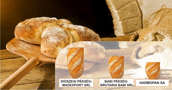 KI SÜT NEKED MA? - időközi kiértékelés